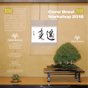 Corsi Brevi Workshop 2016