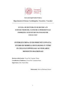 INTERLEUCHINA-32 ED IMMUNITÀ INNATA: STUDIO DI MODELLI