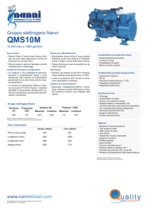 QMS10M - Nanni Diesel