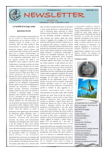 newsletter 1 - AMATIm Associazione MAlati TIroidei Marche