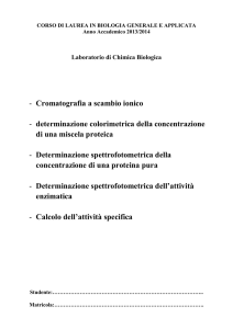 Manuale laboratorio Chimica Biologica 2013-14