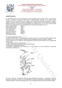 Qualità, Sicurezza e Privacy ICT