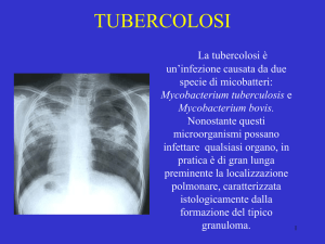 TUBERCOLOSI - Sezione di Microbiologia