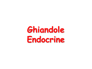 Tessuto ghiandolare-endocrino
