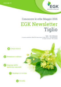 EGK Newsletter Tiglio