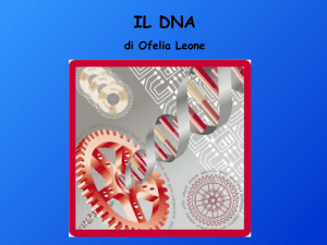 Il DNA