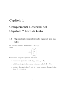 Capitolo 1 Complementi e esercizi del Capitolo 7 libro di testo