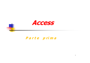 Access - Guida Computer