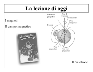 Il Magnetismo - Ivano Coccorullo