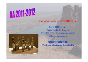 Corso Integrato di BIOCHIMICA: BIOCHIMICA I: Prof. Italia Di Liegro