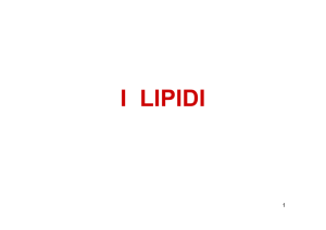 15-Lipidi