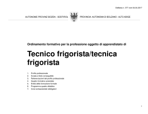 tecnico frigorist/tecnica frigorista