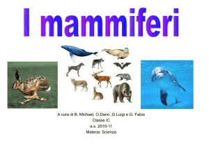 I Mammiferi - Classe I C