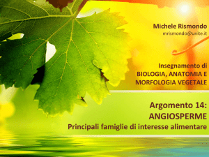 Angiosperme Famiglie (2) File - Progetto e