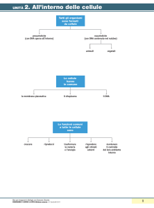 UNITÀ 2. All`interno delle cellule