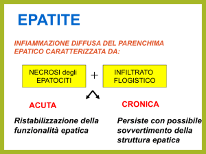 Virus epatite