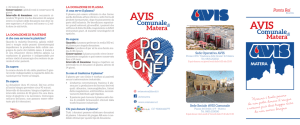 Brochure 2013 AVIS MATERA