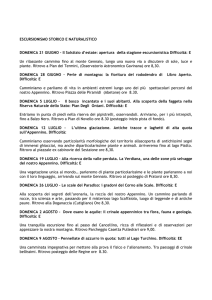14 Kb - pdf - Comune di San Marcello Pistoiese