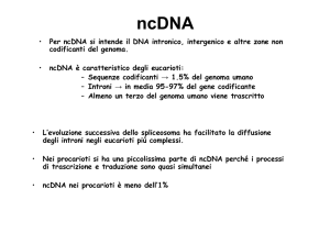 • Per ncDNA si intende il DNA intronico, intergenico e altre zone non