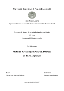 Mobilità e Fitodisponibilità di Arsenico in Suoli Inquinati