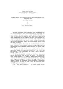 Acta n.3-1957 articolo 13