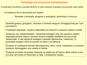 patologia_10 A) Patologie da accumulo e invecchiamento 09