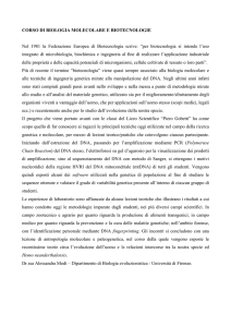 CORSO DI BIOLOGIA MOLECOLARE E BIOTECNOLOGIE Nel 1981