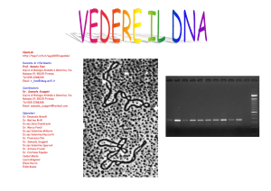 Vedere il DNA - Laboratorio di Evoluzione Microbica e Molecolare