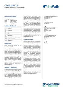 CD16 (SP175) - Menarini Diagnostics