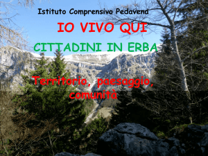 IO VIVO QUI - Istituto Comprensivo di Pedavena