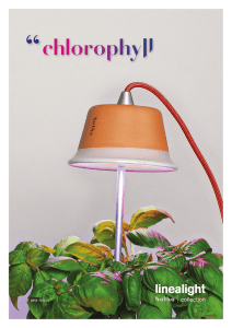 Chlorophyll - Linea Light