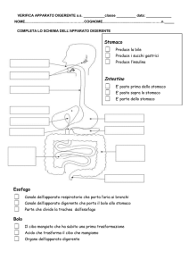 verifica digestione 2