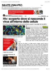 Hiv: scoperto dove si nasconde il virus all`interno delle cellule