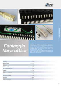Cablaggio fibra ottica