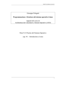 Giuseppe Pelagatti Programmazione e Struttura del sistema