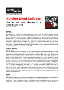 Butcher Mind Collapse - Bloody Sound Fucktory