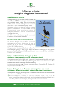 Influenza aviaria: consigli ai viaggiatori internazionali