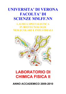 Laboratorio di Chimica Fisica II 2009