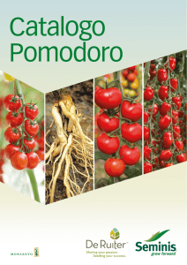 Clicca qui per scaricare il Catalogo Pomodoro