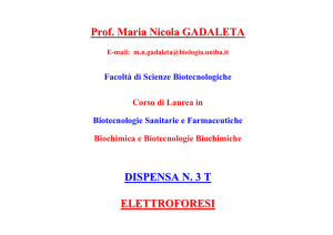 Prof. Maria Nicola GADALETA DISPENSA N. 3 T