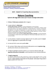 Nature Coaching - Roberto Ferrario Coach