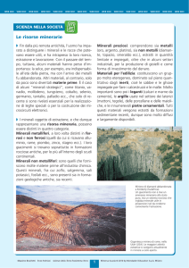 Le risorse minerarie - Libro più web