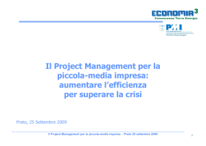 Il Project Management per la piccola-media impresa - PMI-NIC
