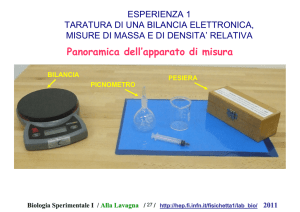 M - Dipartimento di Fisica