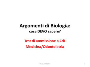 pdf (it, 2791 KB, 8/6/15) - Università degli Studi di Verona