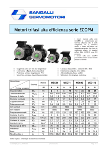 Motori trifasi alta efficienza serie ECOPM Motori trifasi alta efficienza