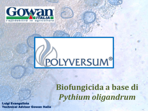 Pythium oligandrum - Aipp, Associazione italiana per la protezione