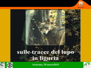 Sulle tracce del Lupo in Liguria - Parco Naturale Regionale del Beigua