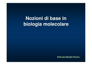 (Microsoft PowerPoint - DNA e Tecniche di Base [modalit\340