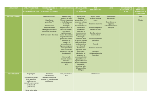 Antibiotici e Chemioterapici – tabelle schematiche 2